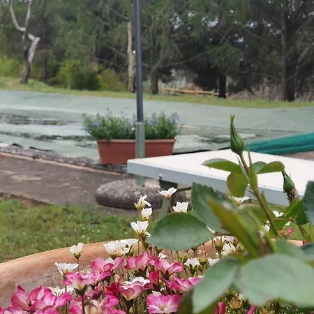 Al Incantato With Pool And Wellness - Happy Baschi